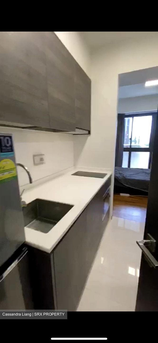 Sims Urban Oasis (D14), Condominium #430453341